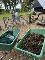 Gratis paarden mest, Ophalen of Verzenden