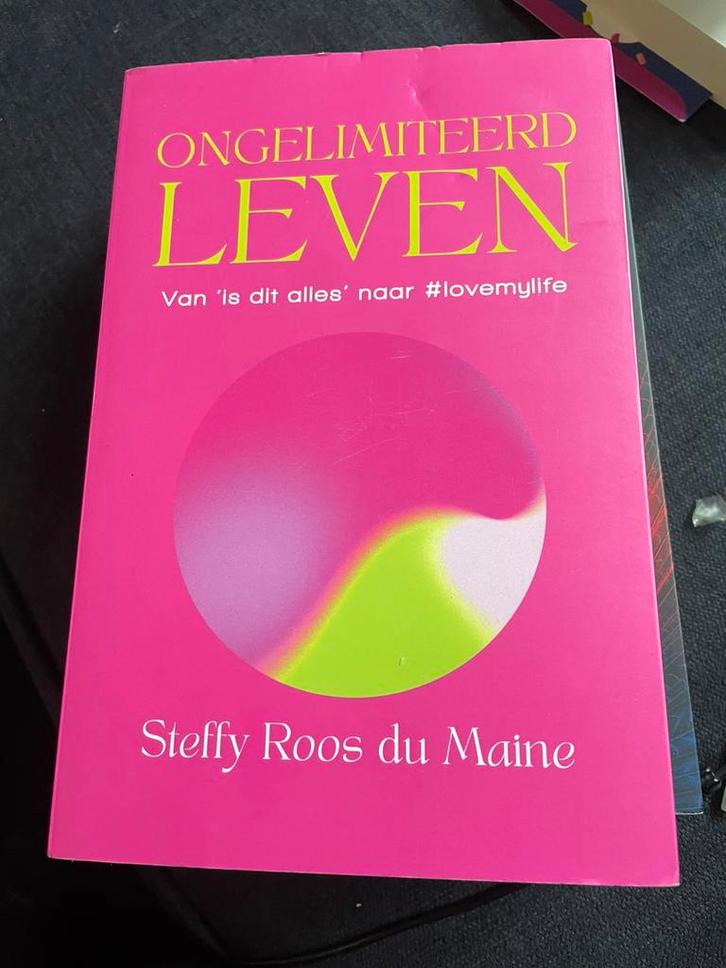Ongelimiteerd leven Steffy Rois Du Maine, Boeken, Advies, Hulp en Training, Zo goed als nieuw, Ophalen of Verzenden
