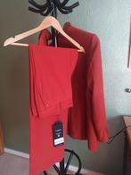 LaDress Lugano Travel jersey broek, Nieuw, Oranje, Ophalen of Verzenden, Maat 36 (S)