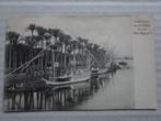 Ansichtkaart Egypte - Palm trees on the banks of the Nile, Gelopen, Buiten Europa, Voor 1920, Verzenden