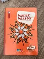 Rinze van der Lei - Muziek Meester!, Boeken, Rinze van der Lei; Lieuwe Noordam; Frans Haverkort, Ophalen of Verzenden, Zo goed als nieuw