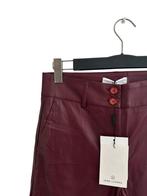 Jane Lushka broek NIEUW XL, Kleding | Dames, Maat 46/48 (XL) of groter, Nieuw, Ophalen of Verzenden, Jane Lushka