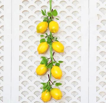 Kunst Citroenen op Draad – Nepfruit Keuken Decoratie beschikbaar voor biedingen