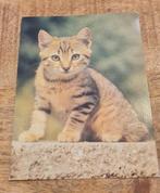 Prachtig mooi katje (ansichtkaart), Verzamelen, Ansichtkaarten | Dieren, Verzenden, Ongelopen, Hond of Kat