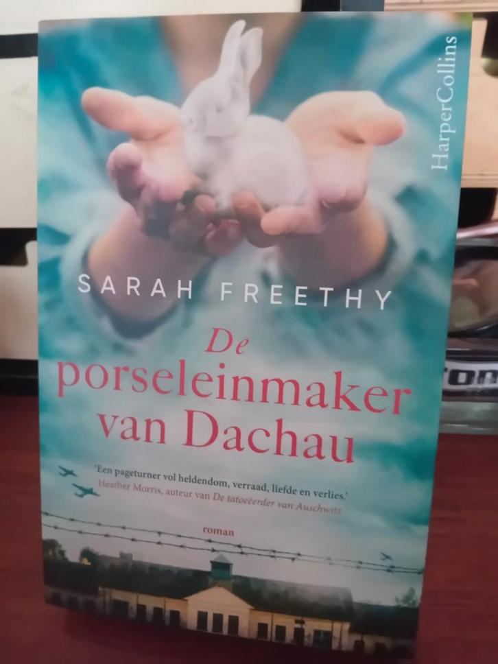 Sarah Freethy - De porseleinmaker van Dachau, Boeken, Literatuur, Zo goed als nieuw, Amerika, Verzenden