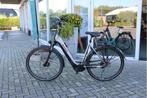 Pegasus Ravenna EVO 5 l Bosch Performance l 500wh l 55cm, Fietsen en Brommers, Elektrische fietsen, Niet ingevuld, Ophalen of Verzenden