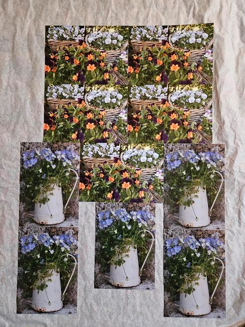 Anneke Bleeker ansichtkaarten, Verzamelen, Ansichtkaarten | Themakaarten, 1980 tot heden, Natuur, Ophalen of Verzenden