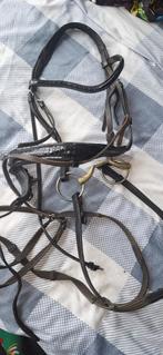 Hoofdstel maat full passier, Ophalen of Verzenden, Dressuur