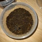 Tliltocatl albopilosus (nicaragua) 4fh/5fh, Dieren en Toebehoren, Overige soorten