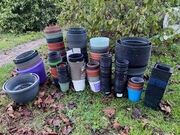 kweekpotjes allerlei maten beschikbaar voor biedingen