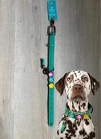 Halsband DWAM maat M / California dreaming, Ophalen of Verzenden, Nieuw