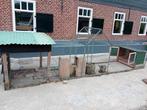 Ren voor konijnen inclusief nachtverblijf, Ophalen, 90 cm of meer, Ren, 110 cm of meer