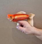 Folkmanis Vingerpop - Goudvis - Nieuw!, Ophalen of Verzenden, Nieuw, Overige typen