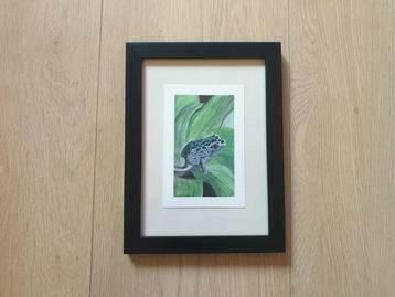 Mini tekening pijlgifkikker aquarel tekening 13x18 cm

 beschikbaar voor biedingen