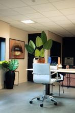 Gezocht interieur verzorgster Riel, Vacatures, Variabele uren, Overige niveaus, Overige vormen