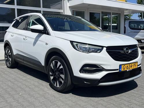 Opel Grandland X 1.2 Turbo Business Executive Panoramadak Ac, Auto's, Opel, Bedrijf, Te koop, Grandland X, ABS, Airbags, Airconditioning