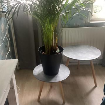 2 bijzet tafeltjes.