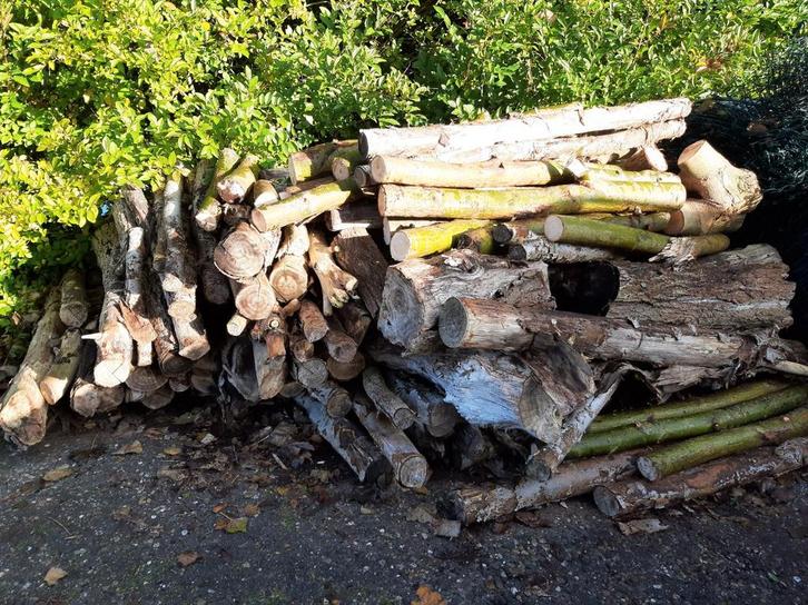 2.5 Cub populierenstammetjes & stronken zelf ophalen & laden, Tuin en Terras, Haardhout, Minder dan 3 m³, Ophalen of Verzenden