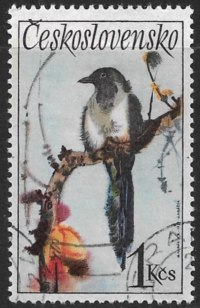 Tsjechoslowakije 1972 mi.2112 vogel JONGE EKSTER nom. 1Kcs, Postzegels en Munten, Postzegels | Europa | Overig, Gestempeld, Overige landen