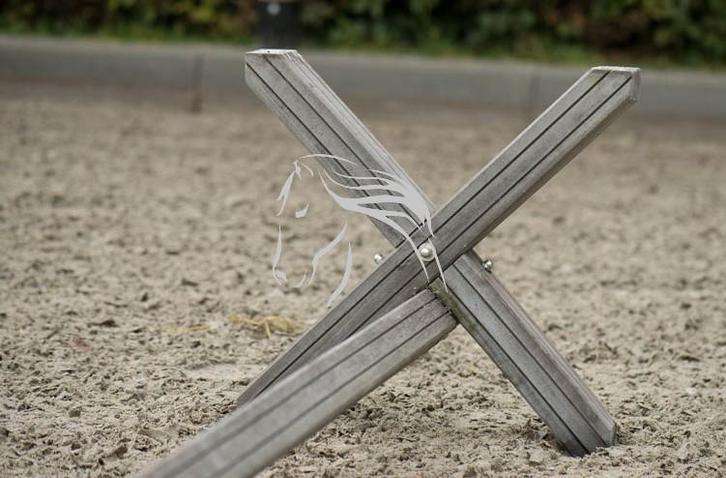 Cavaletti, Springbalk, Hindernis, Cavalettis, Dieren en Toebehoren, Paarden en Pony's | Overige Paardenspullen, Nieuw, Springen