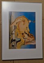 leuke Dali in aluminium lijst 70x50, Antiek en Kunst, Kunst | Litho's en Zeefdrukken, Ophalen