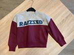 RAIZZED sweater nieuw mt 110, Kinderen en Baby's, Kinderkleding | Maat 110, Nieuw, Meisje, Trui of Vest, Ophalen of Verzenden