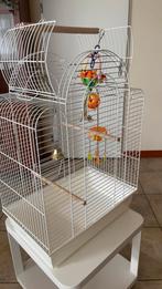 Vogelkooi - 75 euro, Ophalen, Metaal, Vogelkooi