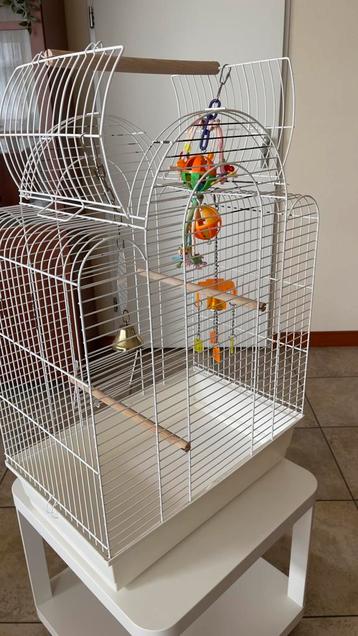 Vogelkooi - 75 euro beschikbaar voor biedingen