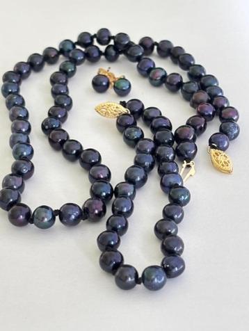 Set Ketting Armband Oorbellen Tahitiaanse Peacock Parels 14K beschikbaar voor biedingen