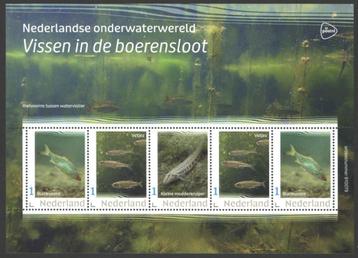 Nederlandse Onderwaterwereld: Vissen in de boerensloot beschikbaar voor biedingen