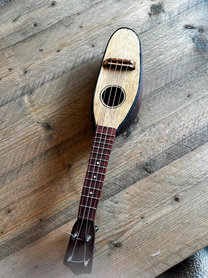 Klomp Ukulele - Uniek Instrument!, Muziek en Instrumenten, Overige Muziek en Instrumenten, Gebruikt, Ophalen of Verzenden
