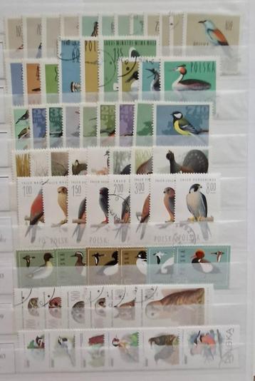 Vogelpostzegels Polen beschikbaar voor biedingen