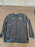 Ajax trainingspak maat L, Maat 52/54 (L), Blauw, Ophalen of Verzenden, Zo goed als nieuw
