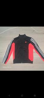 Adidas vest maat 140, Kinderen en Baby's, Kinderkleding | Maat 140, Ophalen of Verzenden, Zo goed als nieuw, Trui of Vest