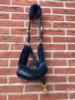 Blauw Halster Nieuw!!, Dieren en Toebehoren, Paarden en Pony's | Hoofdstellen en Tuigage, Ophalen of Verzenden, Nieuw, Overige soorten