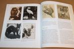 Henri Verstijnen — Kunstenaar & Theosoof — Monografie [2006], Ophalen of Verzenden, Zo goed als nieuw, Schilder- en Tekenkunst