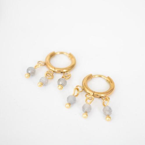 Oorbellen met labradoriet, Sieraden, Tassen en Uiterlijk, Oorbellen, Nieuw, Hangers, Overige materialen, Grijs, Met edelsteen