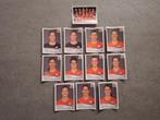 Panini World Cup 2015 Women 12 x Nederland o.a. Jill Roord, Ophalen of Verzenden, Nieuw, Sticker