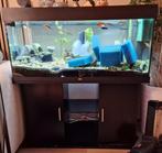 Lege Juwel Aquarium Rio 101x41x50 cm + zwart standaard, Ophalen of Verzenden, Leeg aquarium
