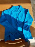 Lien en Giel Vest Maat S, Blauw, Ophalen of Verzenden, Zo goed als nieuw, Maat 36 (S)