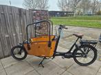 Qivelo Curve 2 Elektrische Bakfiets, Fietsen en Brommers, Fietsen | Bakfietsen, 4 kinderen of meer, Gebruikt, Elektrisch, Ophalen