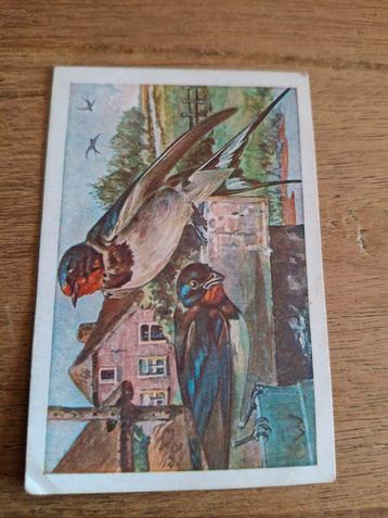 Boerenzwaluw Vogelalbum No. 1 beschikbaar voor biedingen