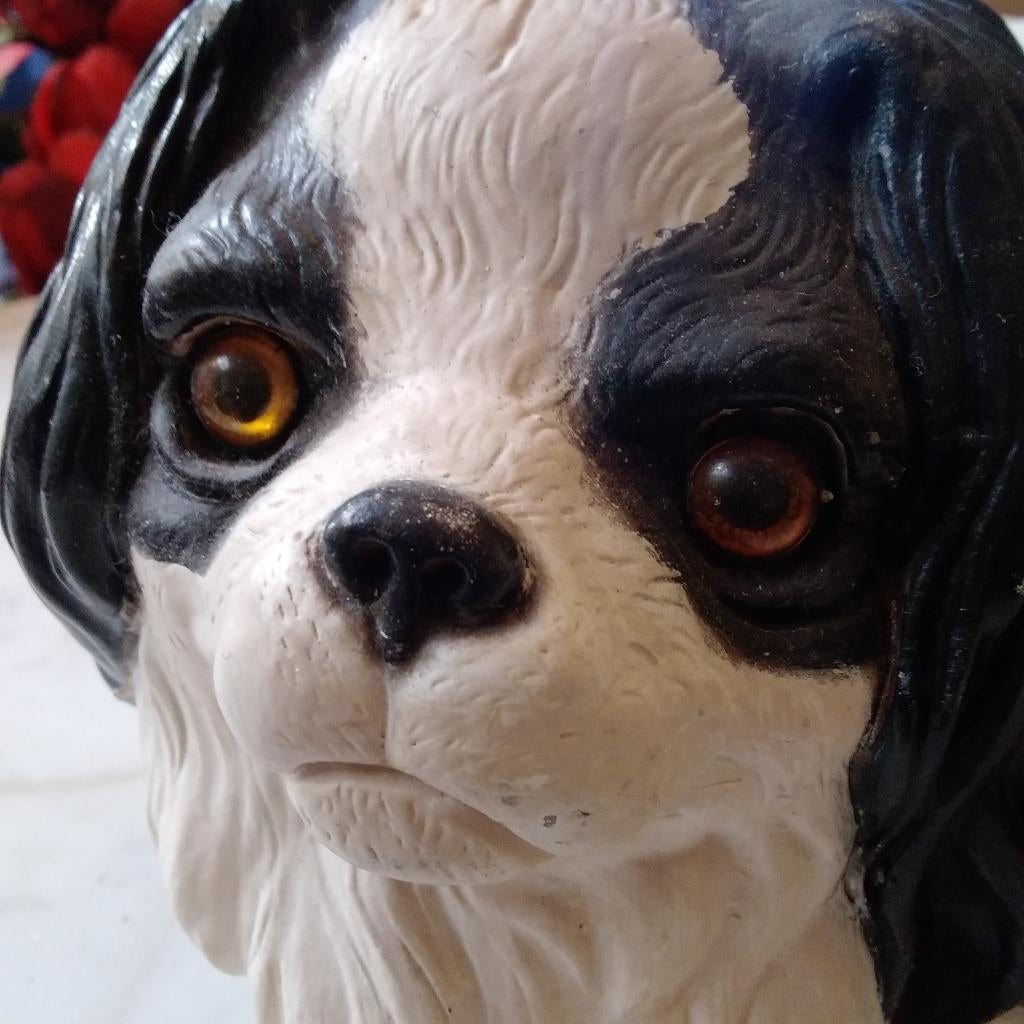 2 prachtige grote Shih tzu ,of pekinees beelden. Gesigneerd, Verzenden