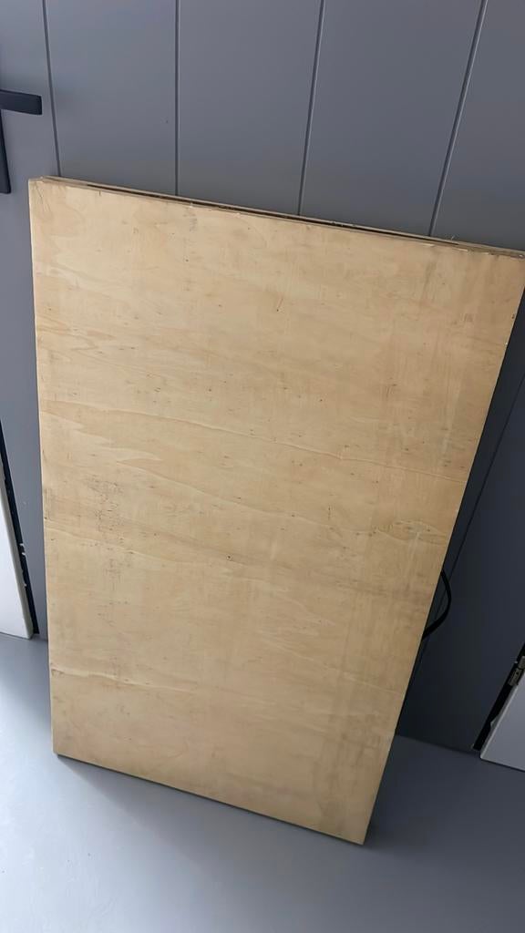 Stevige Behangtafel - Ideaal voor elke klus, Doe-het-zelf en Verbouw, Ophalen, Gebruikt, Overige typen