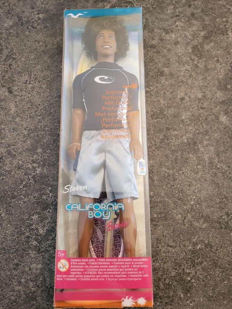 Mattel barbie steven california boy 2004, Ophalen of Verzenden, Nieuw, Fashion Doll