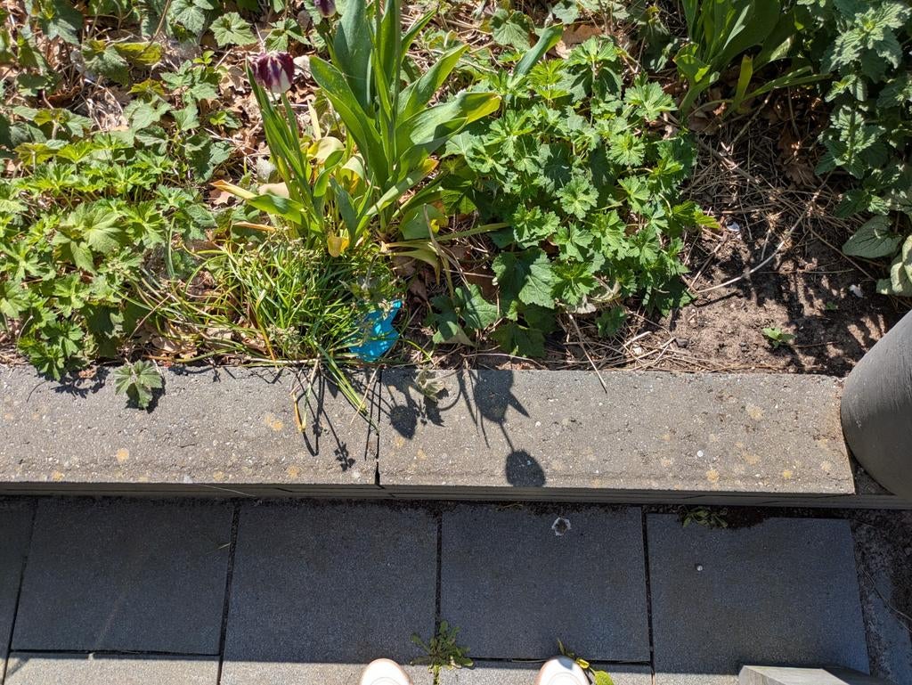 GRATIS Excluton muurstenen 60x15x10 cm (160 stuks), Tuin en Terras, Ophalen of Verzenden, Gebruikt, Beton, Klinkers