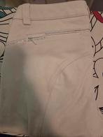 Witte rijbroek Animo, Dieren en Toebehoren, Overige soorten, Zo goed als nieuw, Dames, Onderkleding