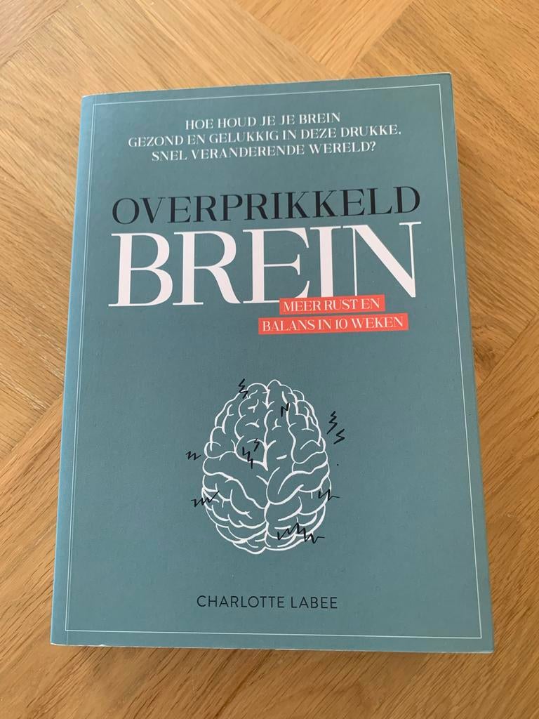 Charlotte Labee - Overprikkeld brein, Charlotte Labee, Ophalen of Verzenden, Zo goed als nieuw, Overige onderwerpen