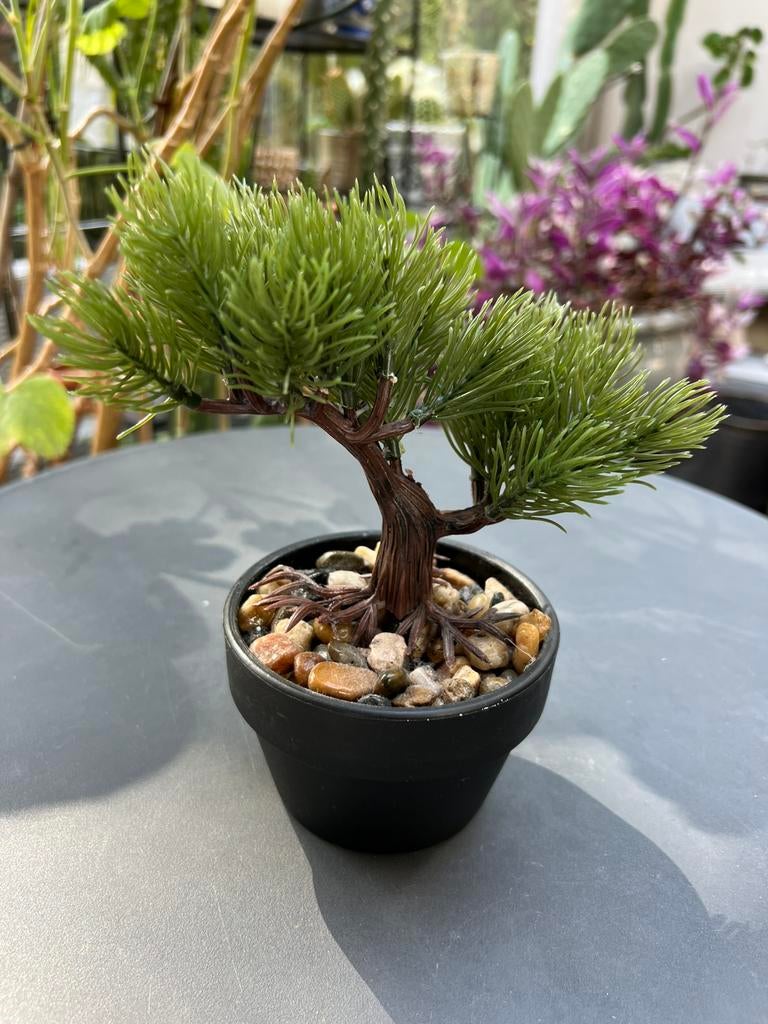 Leuke Bonsai boom 20cm hoog en 18cm breed, Groen, Onderhoudsvrij, Kunstplant, Ophalen of Verzenden