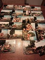 Tiel -  kleurenfoto's Fruitcorco 1981, Verzenden, Nieuw, Overige onderwerpen, Foto